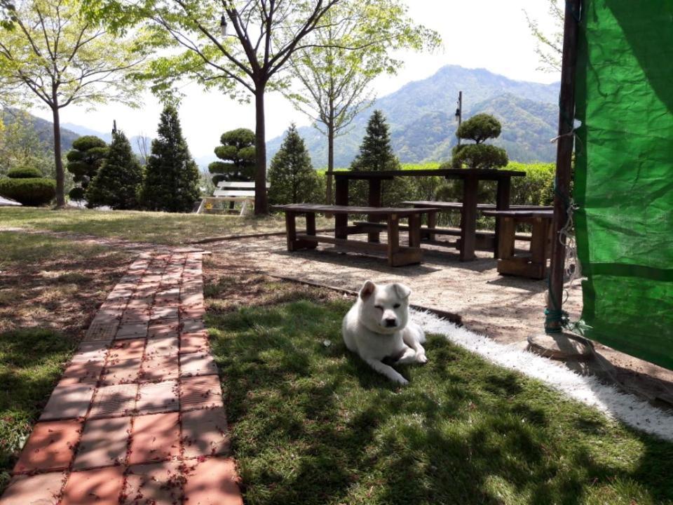 Chamjoeun Pension Chech'ŏn Екстериор снимка